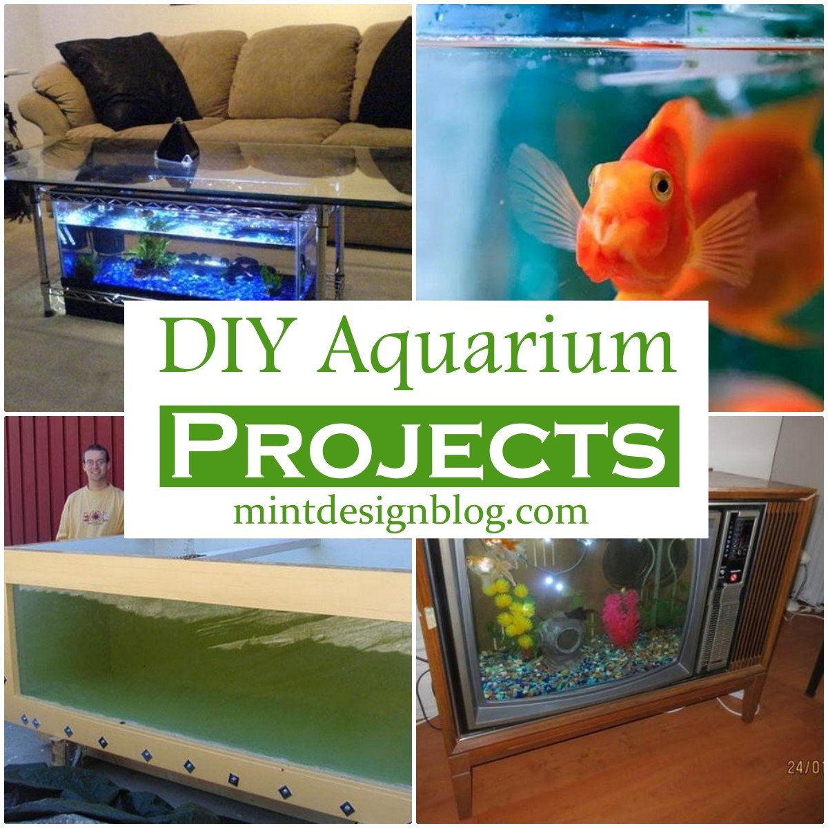 22 DIY Aquarium Projects You Can Make At Home Mint Design Blog   DIY Aquarium Projects 2 