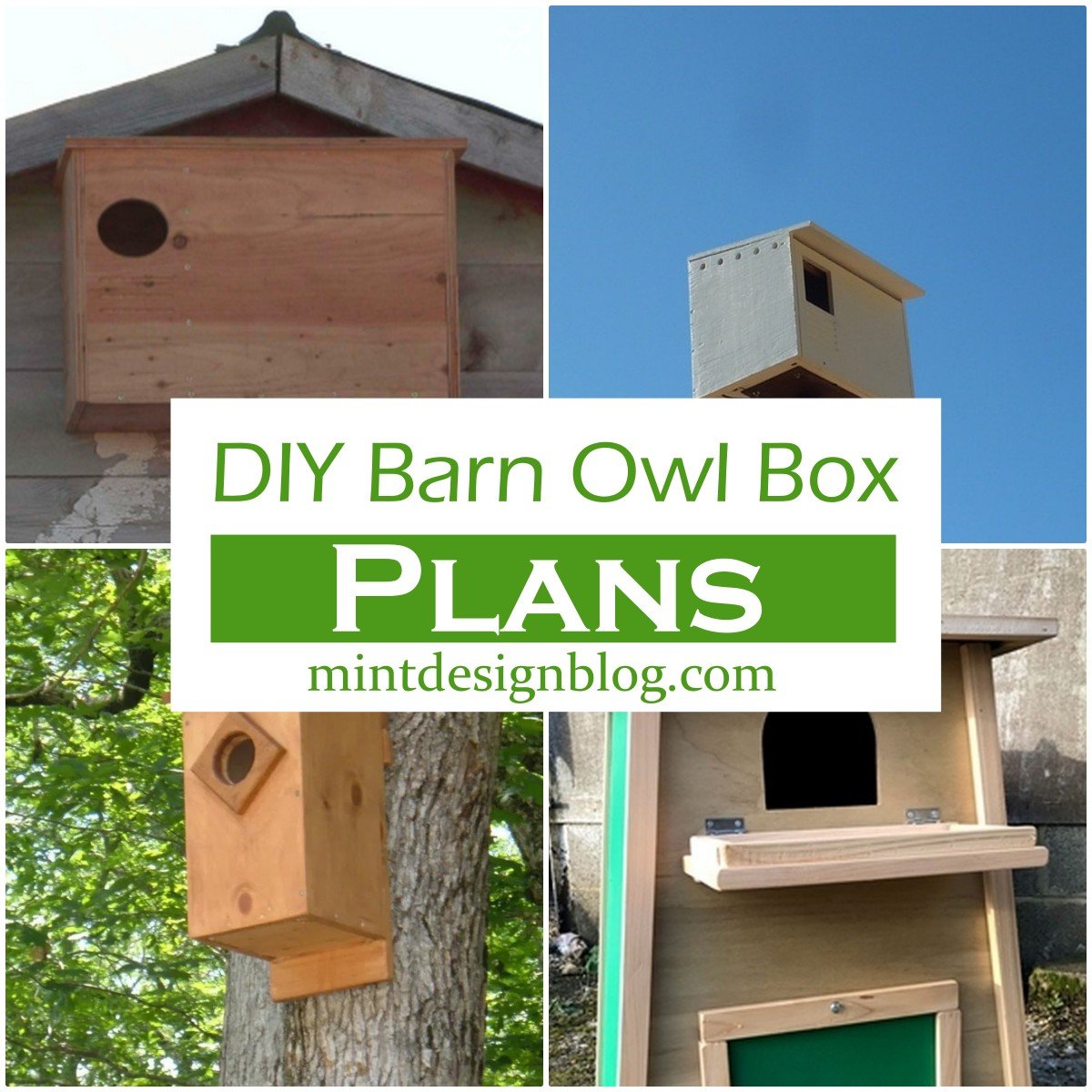 Easy Barn Owl Box Plans