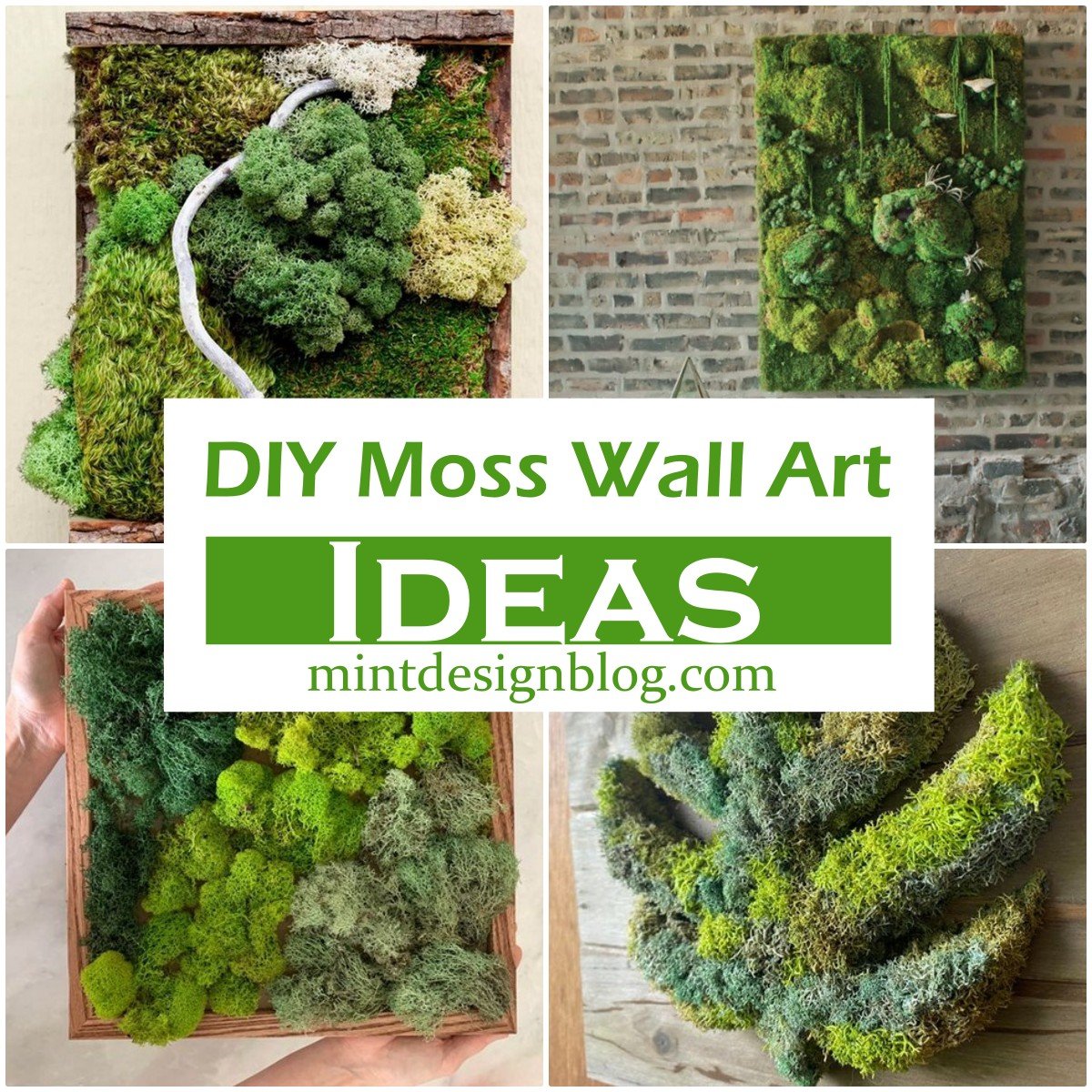 23 DIY Moss Wall Art - How To Make A Moss Wall - Mint Design Blog