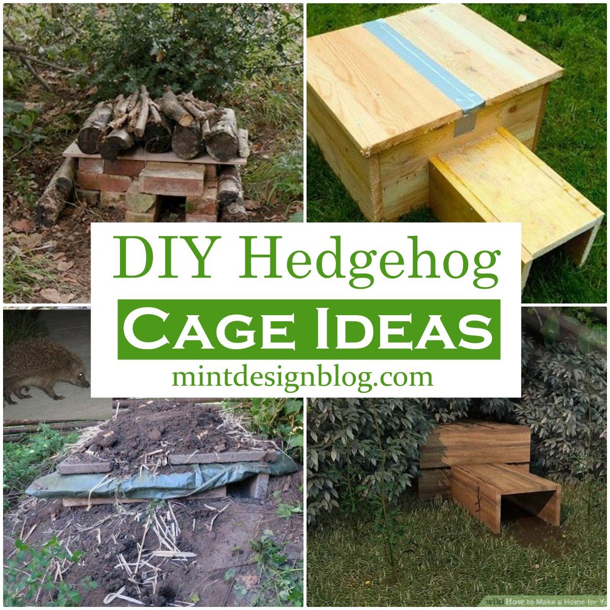 21 DIY Hedgehog Cage Ideas Mint Design Blog   DIY Hedgehog Cage Ideas 