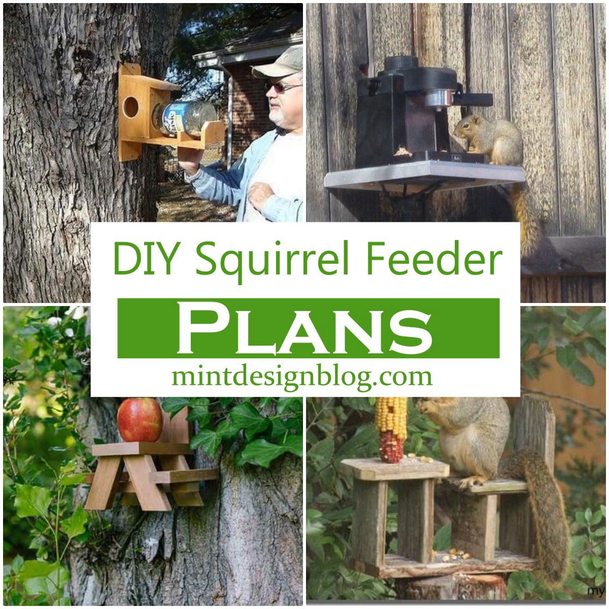 25 Diy Squirrel Feeder Plans Mint Design Blog 7558